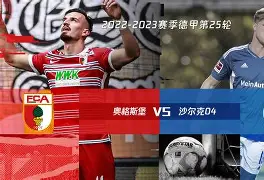 关于九游欢乐首站:德甲的小球队故事：逆境中的奋斗与希望的信息