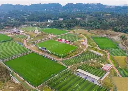 九游欢乐首站：德甲卡尔斯鲁厄的青训体系与未来展望的简单介绍