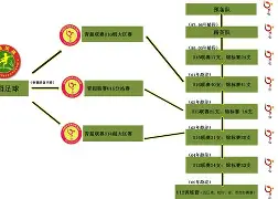九游欢乐首站：德甲卡尔斯鲁厄的青训体系与未来展望的简单介绍