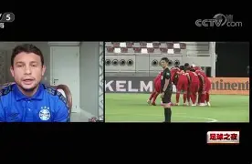 包含九游欢乐官方网站:归化球员艾克森“状态下滑”，球迷：廉颇老矣，尚能饭否？的词条