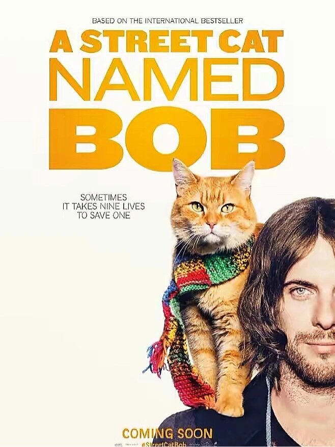 包含九游欢乐首站:意甲经典赛事的回顾：让我为你讲述那些故事的词条